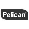 Pelican